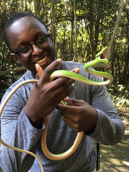 This photo was taken on a field trip I took with Dr. Kristin Winchell in the Dominican Republic at the Jardín Botánico Nacional Dr. Rafael M. Moscoso.