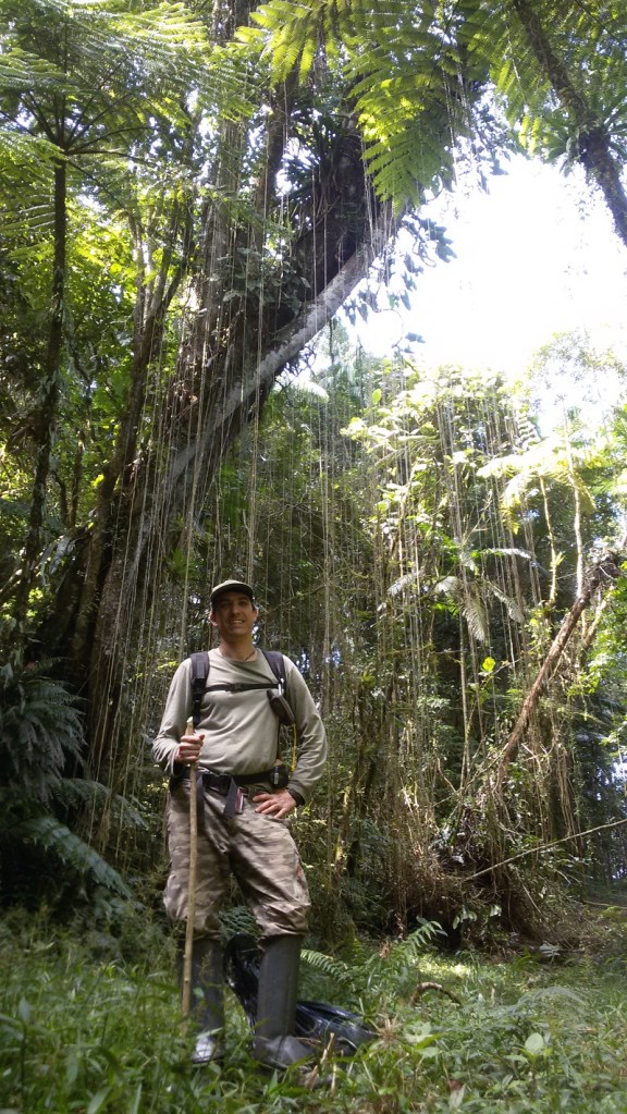 Nacho Villar in the Brazilian Atlantic Forest
