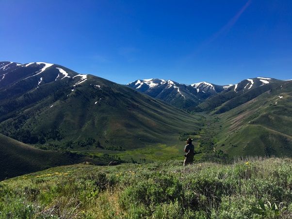 The lead author hiking from one site to another in the Pioneer Mountains of Idaho.