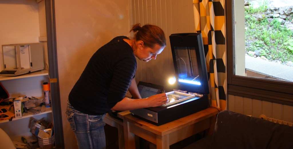 Scanning roots in the lab/bedroom/laundry room: Monique Weemstra