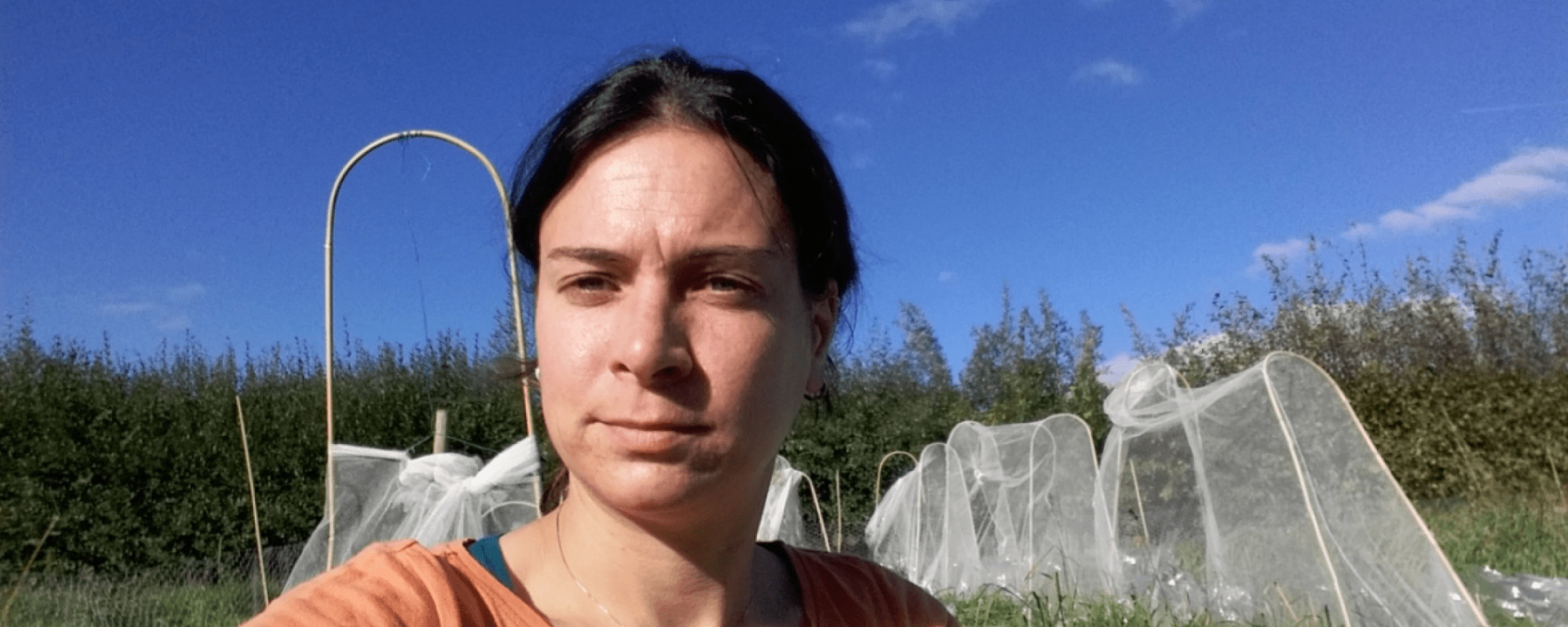 Sandra Varga setting up a field experiment to exclude pollinators in Lincoln, UK.