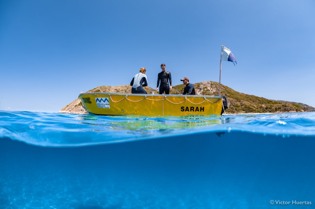 Part of the study crew during fieldwork at Lizard Island, Great Barrier Reef. Photo by Victor Huertas.