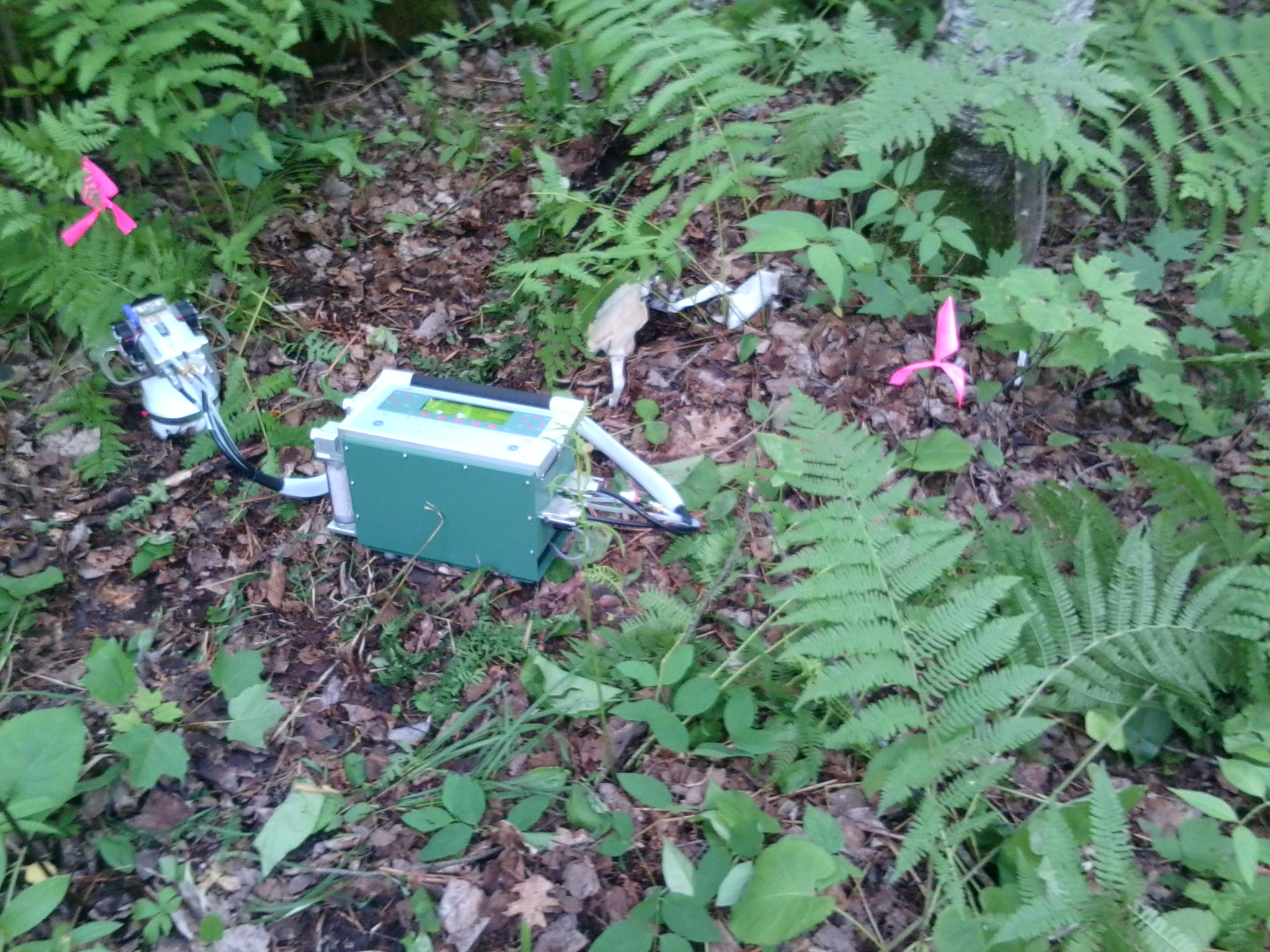 Carbon dioxide fluxes in the PVC mesocosms were measured using an infrared gas analyzer (LiCor 6400).