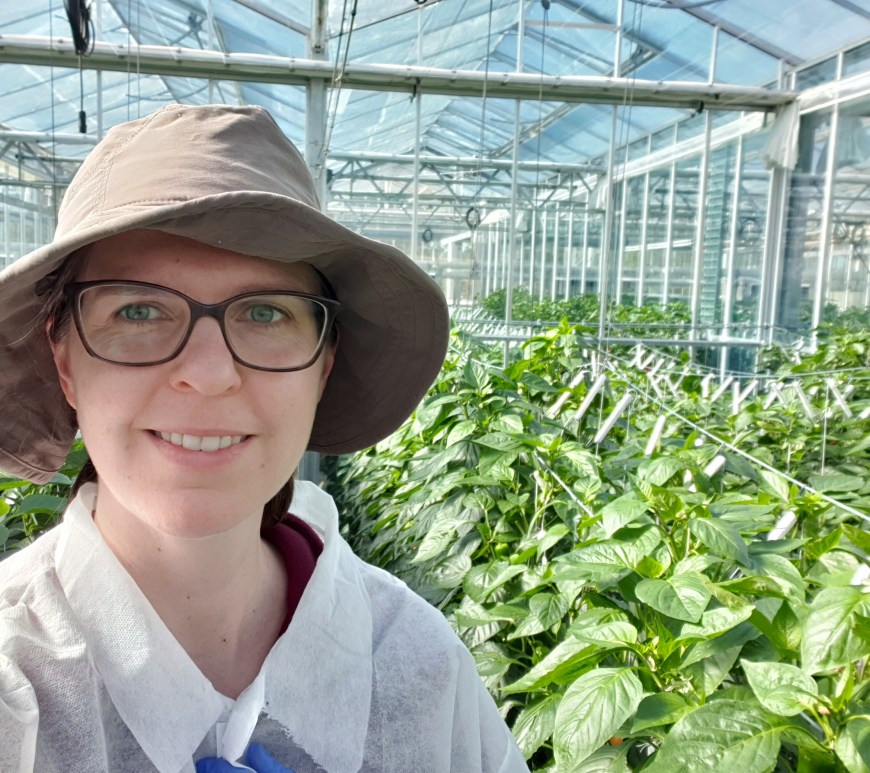 Rebecca at work in the glasshouse in Western Sydney