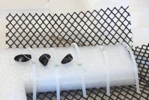 Mussels within their mesh enclosure. (photo credit Laura Newcomb)
