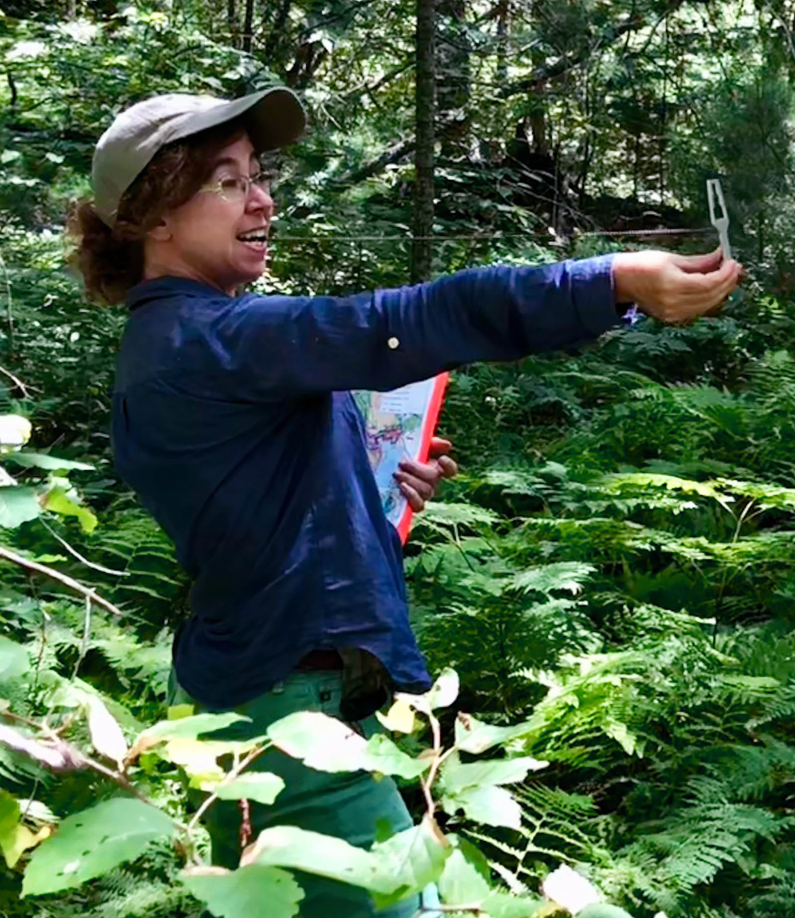 Audrey Barker Plotkin: Trees can starve to death from insect ...