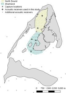 Map of the Bimini Islands, The Bahamas (25.736232°N, −79.267353°W) showing the two principal juvenile lemon shark subpopulations, the six capture locations and the locations of fixed acoustic telemetry receivers