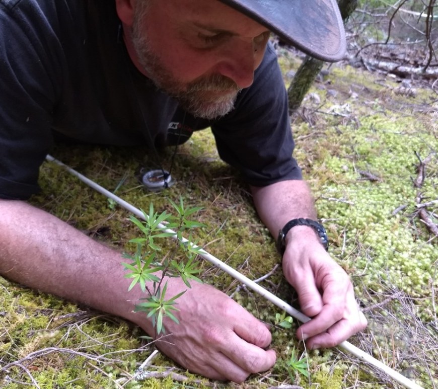 George Perry conducting research.