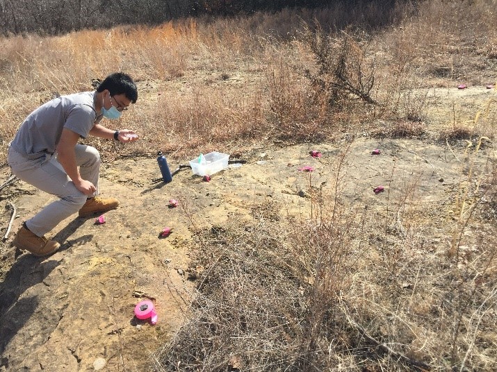 Vincent Pan sticking more seeds to more things. Photo by Eric LoPresti.
