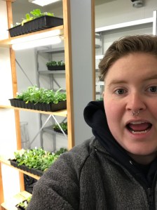 Victoria and their experimental plants undergoing vernalization