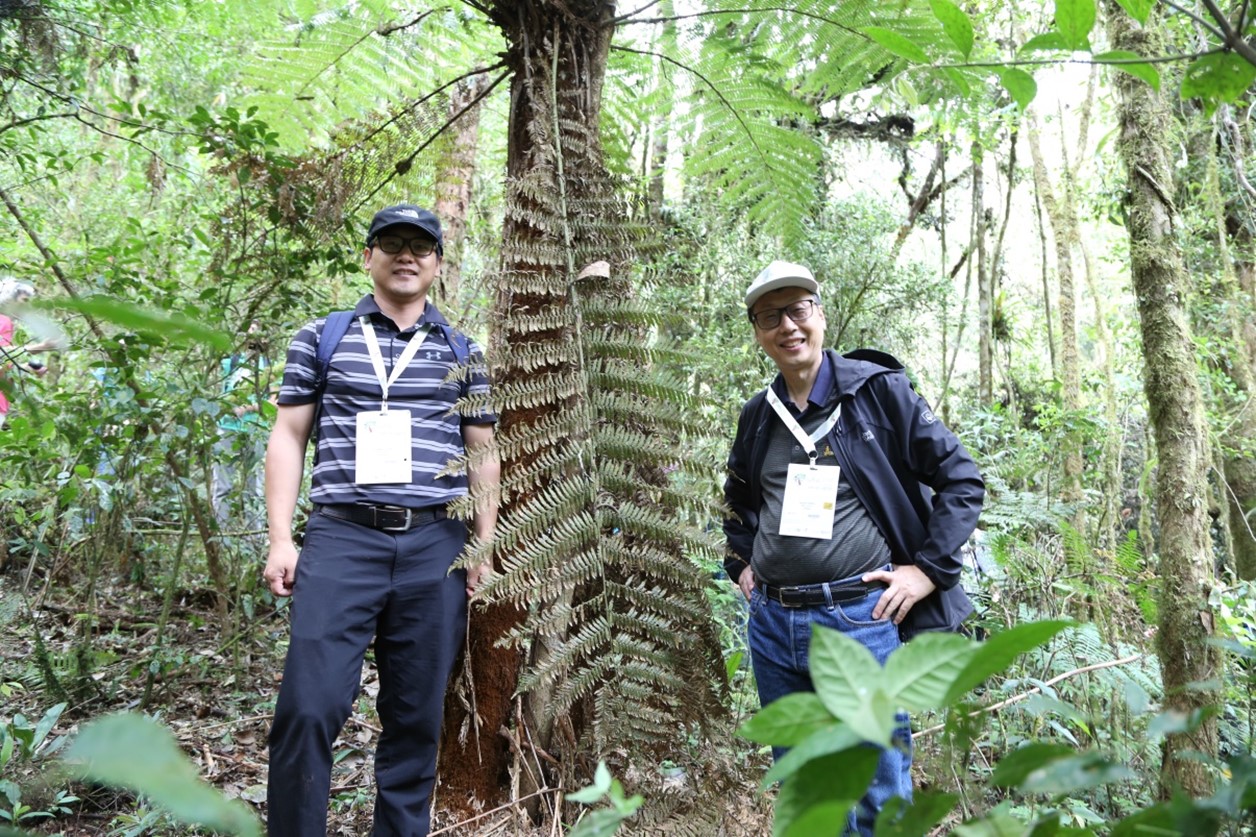 Luan (left) and Prof. Shirong Liu (right) visit a cloud forest close to Curitiba in Brazil during 2019 IUFRO XXV congress.