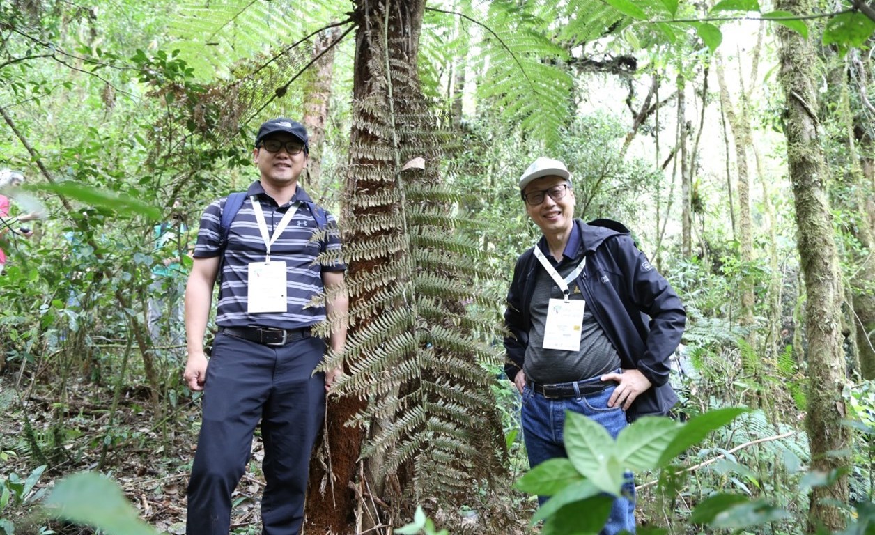Luan (left) and Prof. Shirong Liu (right) visit a cloud forest close to Curitiba in Brazil during 2019 IUFRO XXV congress.