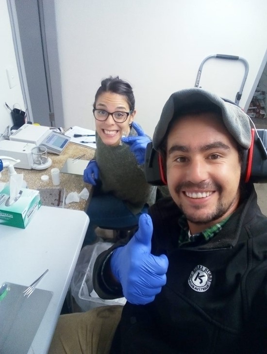 Ximena and Juan (husband) preparing samples for carbon nitrogen analysis at HIE. Image courtesy of Ximena Cibils-Stewart
