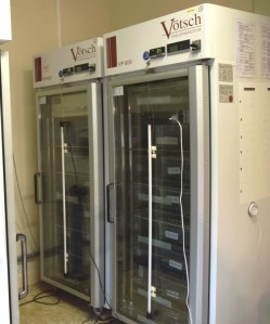 Climatic chambers at the Centre d’Etudes Biologiques de Chizé (CNRS, France). We used this equipment to apply daily thermal cycles during 7 years. 