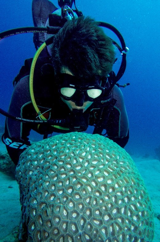 Admiring the beauty of a coral. © Netanel Kramer