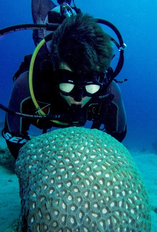 Admiring the beauty of a coral. © Netanel Kramer