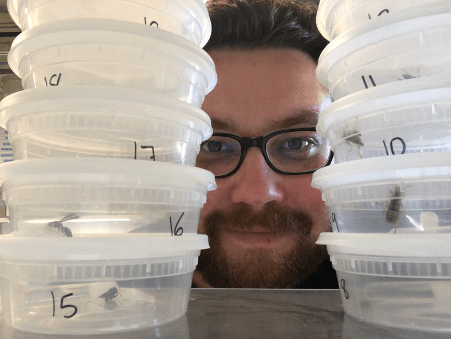 Alexander Walton with paper wasp workers, temporarily individually housed in deli cups.