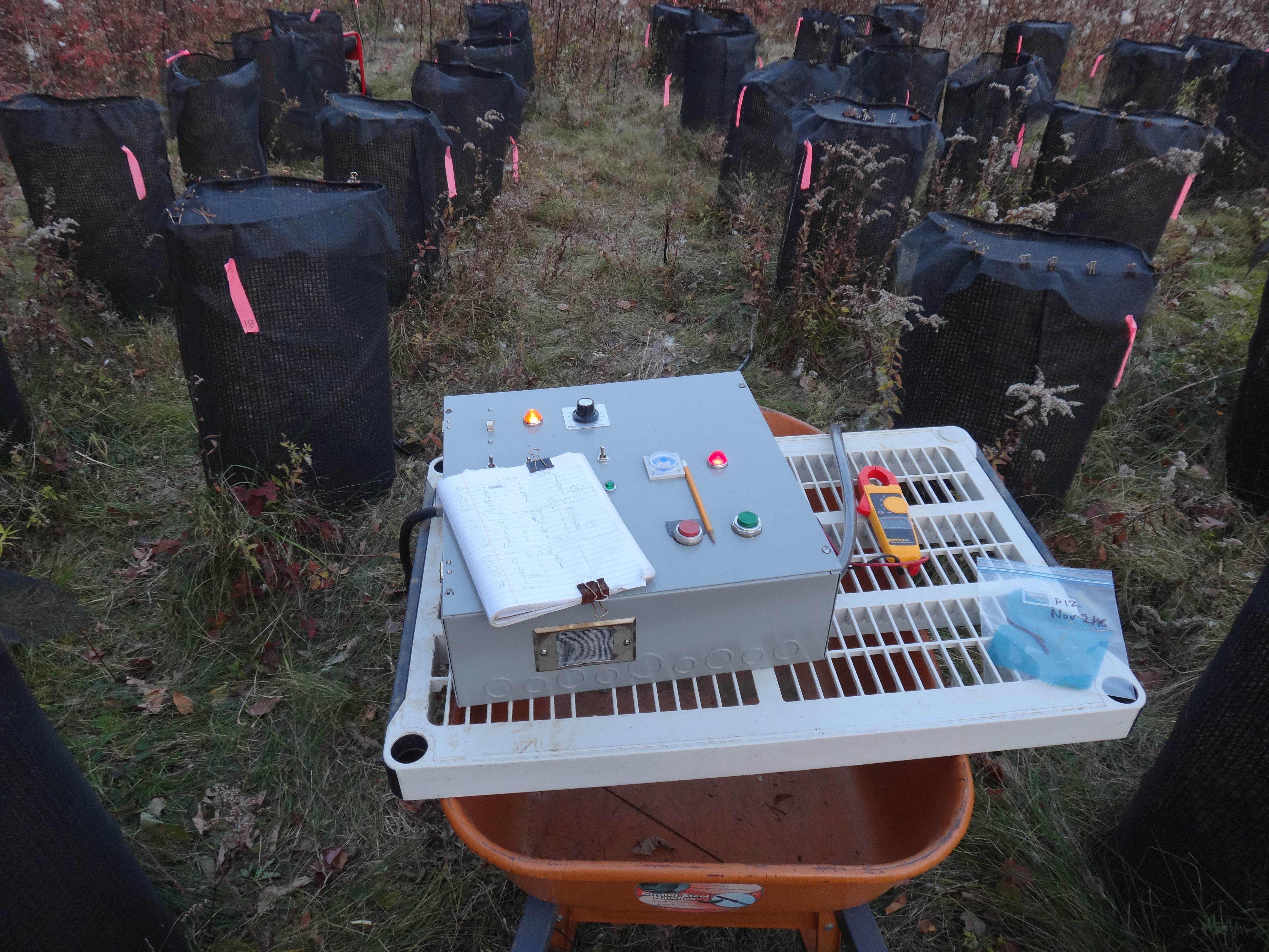 Earthworm removal device