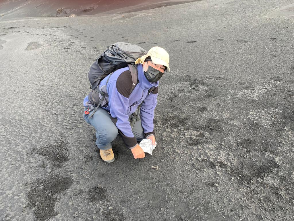 Félix Medina, collecting droppings of feral cats.