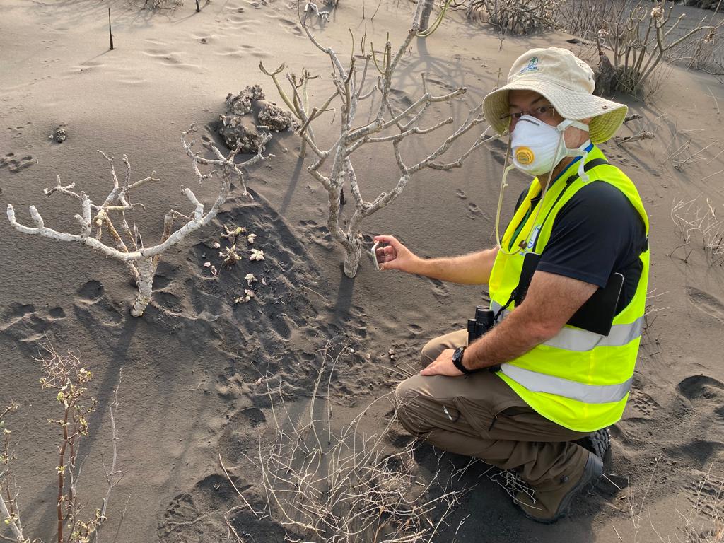Félix Medina evaluating vegetation damages and herbivory.