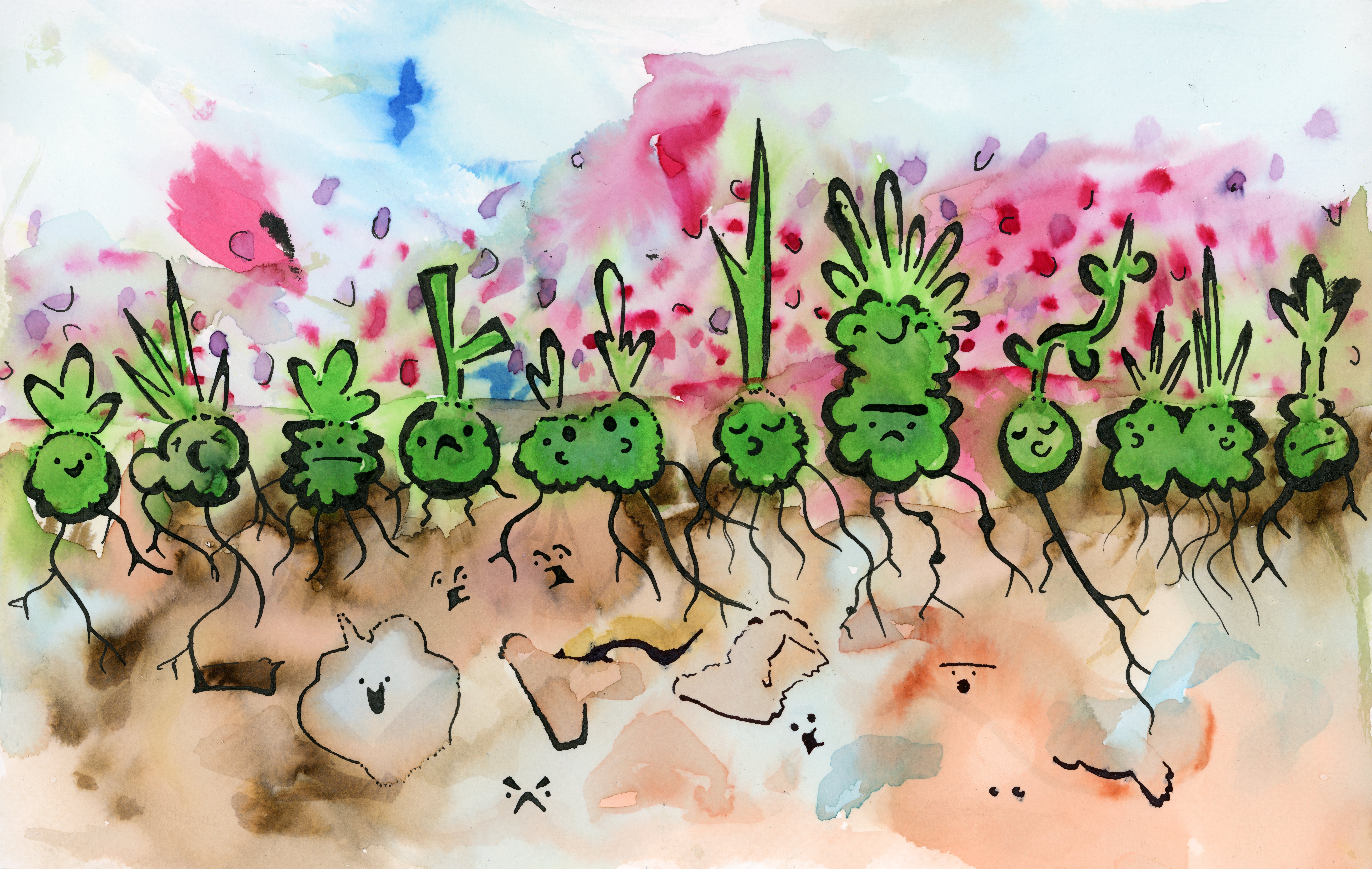 An artistic interpretation of plant emotions. (c) Curtis Lubbe