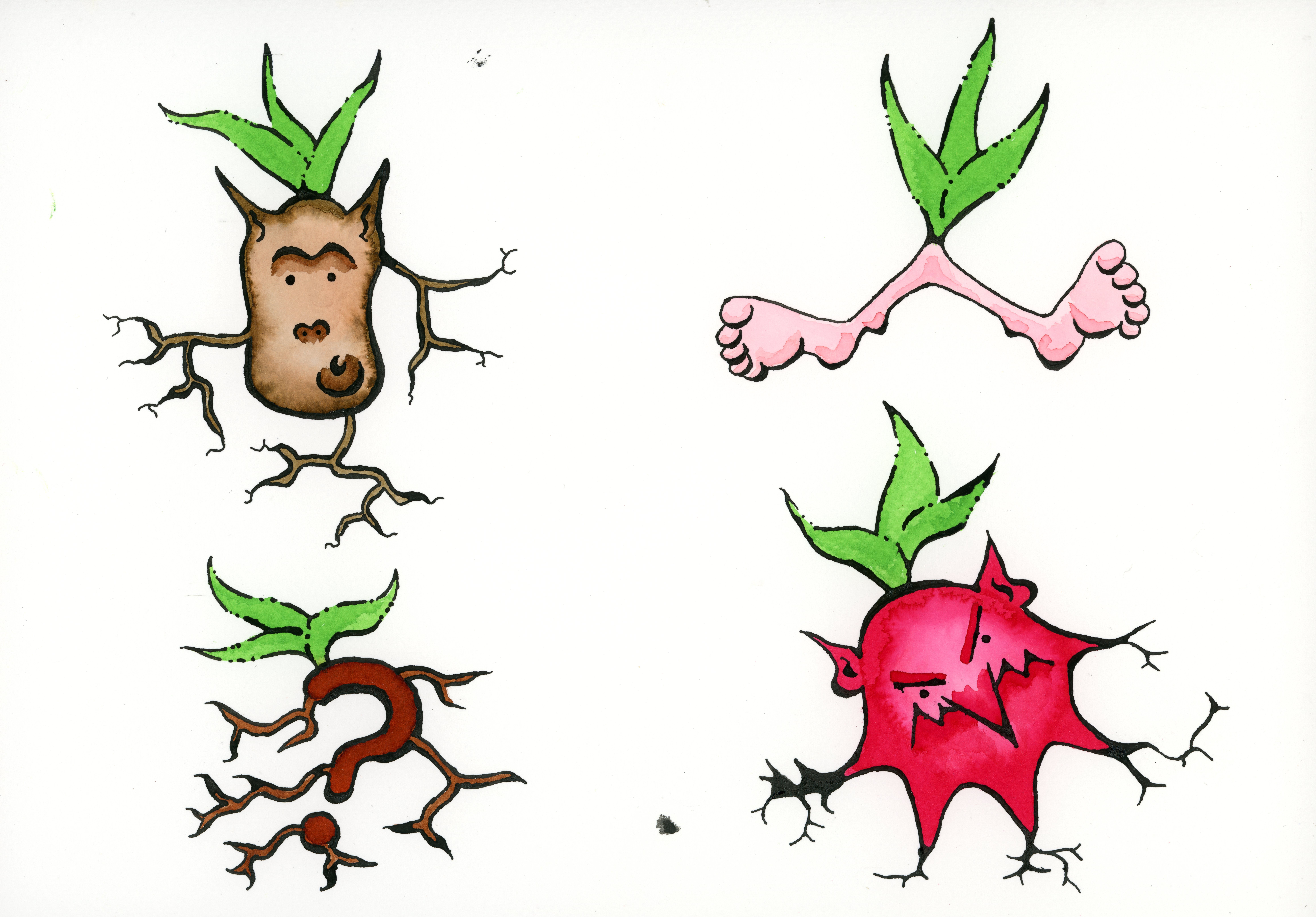 Naive speculation of what plants may be doing belowground. (c) Curtis Lubbe