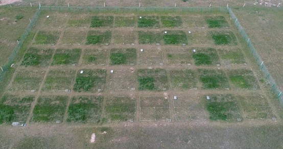 The multilevel N-manipulation experiment in a Tibetan alpine steppe, which was established since 2013.