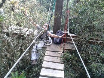 Fernanda Barros in a pathway she built to have access to the tree canopy.
