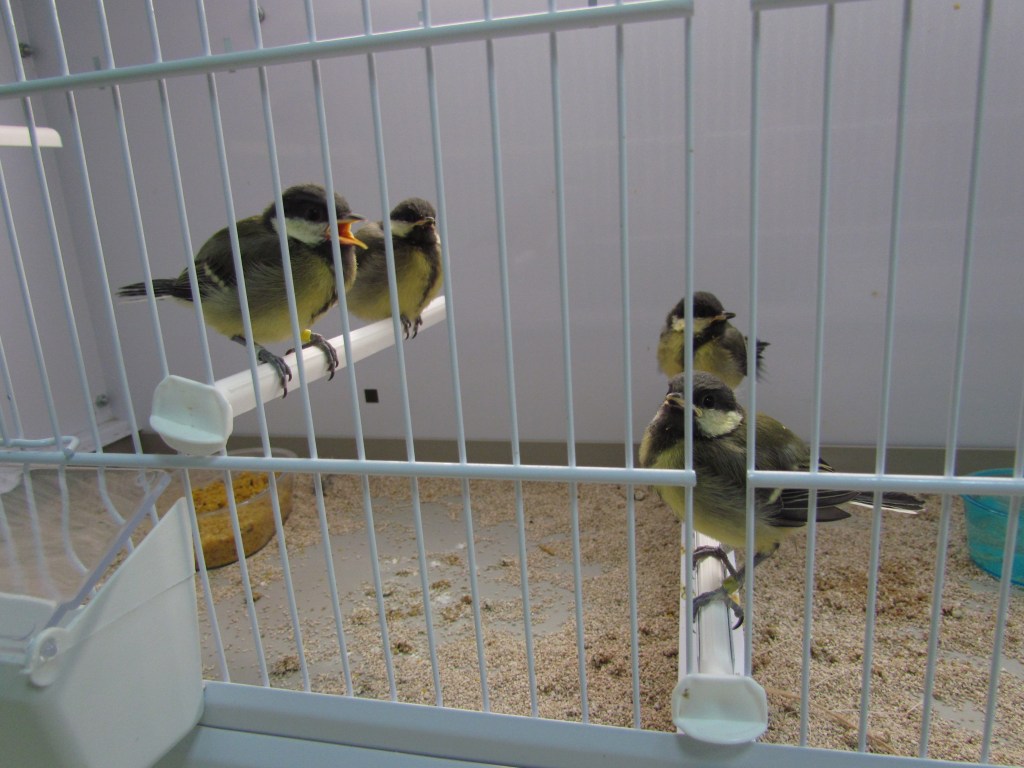 This image has an empty alt attribute; its file name is fig4.jpg